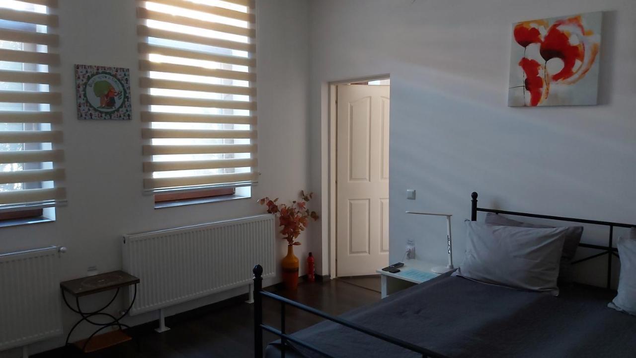 City Center Minimalist Apartment Oradea Extérieur photo